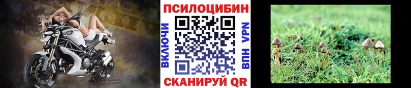 даркнет сайт  Данилов  маркетплейс состав  Галлюциногенные грибы Psilocybine cubensis 